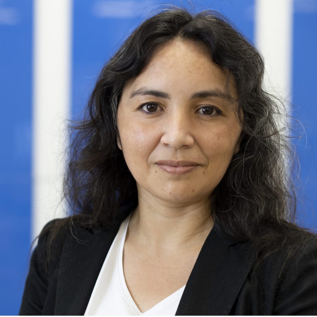 Marianela Castillo Fernández